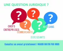 Consultations gratuites : entreprises, artisans, commerçants, dirigeants.