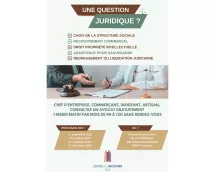 Entreprises, artisans, commerçants, dirigeants : consultations gratuites